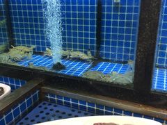 -碧海银沙海鲜餐厅(恒大海上威尼斯店)