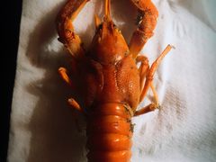 -队长面馆 La Pasteria del Capitano