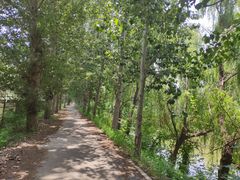 -东郊湿地公园