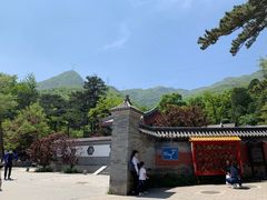 -阳台山自然风景区