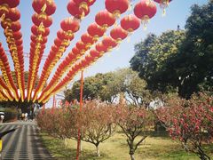 -广州莲花山旅游区