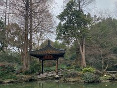 -杭州植物园