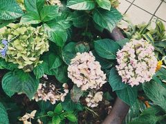 门面-默迹咖啡馆