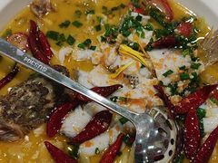-渔意楼·驰名沙田乳鸽(五羊店)