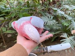 -南宫五洲植物乐园