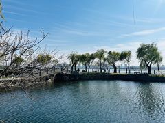 -无锡蠡湖国家湿地公园-蠡园