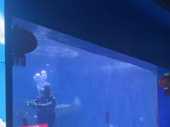 -重庆欢乐海底世界