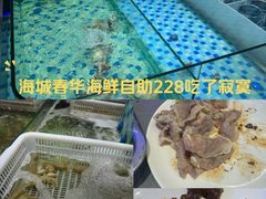 -春华海鲜自助(海城店)
