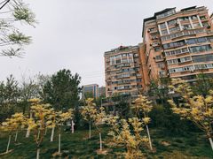 -雁滩公园