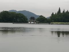 -西湖外事游船(花港观鱼码头)