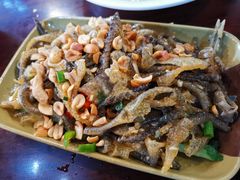 姜葱凉拌鱼皮-禄源公·老莞诚饭店