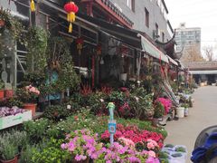 -平吉花卉市场