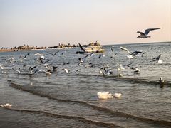 -老虎石海上公园