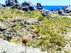 -龙坑生态保护区