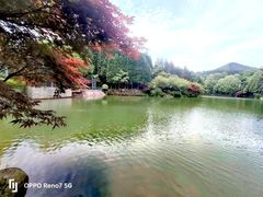 -四明山国家森林公园
