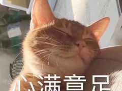 -花溪巷牛肉粉(泉城路店)