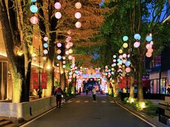 -美兰湖景区