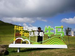 -大姆山草场