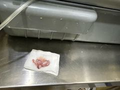 -瑞派名望志远动物医院·猫科·內科·异宠专科(直港大道店)