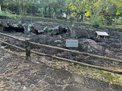 -海口火山口国家地质公园