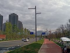 -洨河生态公园