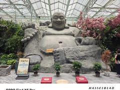-滕头生态酒店(奉化店)