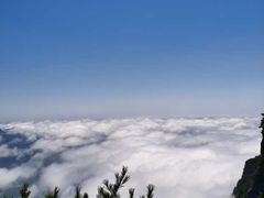-秦岭天竺山景区