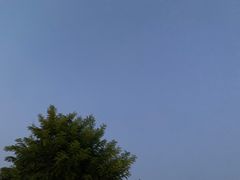 -北门涮肉·炭火铜锅涮肉(什刹海店)