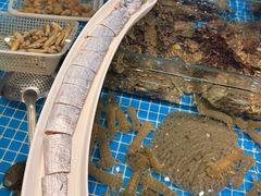 -木柴豆腐·活海鲜·鲁菜