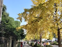 -四川大学(望江校区)