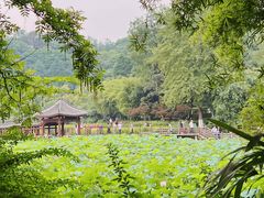 -龙头寺公园