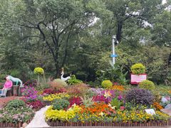 -南山植物园