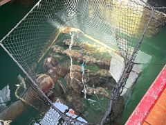 -蓝湾碧波·老字号·疍家非遗海上餐厅