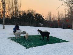 -北京亚布洛尼朝阳公园滑雪场