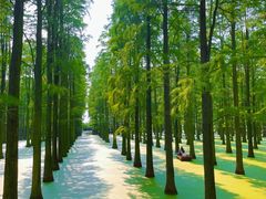 -渌洋湖湿地公园