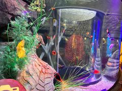 -沈阳海洋探索中心