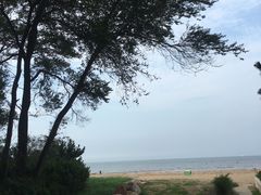 -海滨浴场