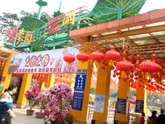 -松山湖梦幻百花洲