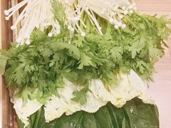 -蝎王府羊蝎子(西直门店)