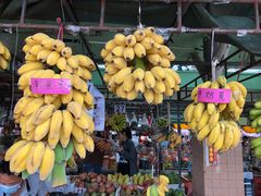 -南沙十九涌渔人码头-南门