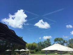 -上海崇明金茂凯悦酒店