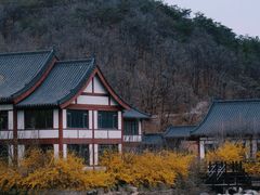 -横山寺