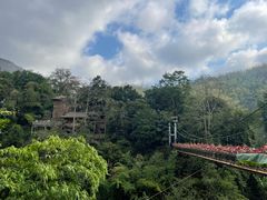 -西双版纳原始森林公园
