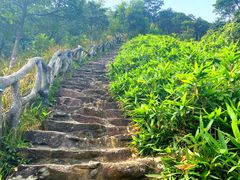 -梧桐山风景名胜区
