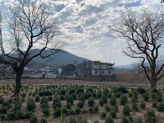 -塔川景区