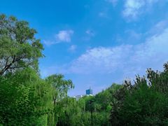 -莲花池公园