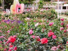 -人民公园(罗湖区)