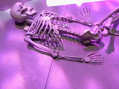 -友坐OMNI(民园广场店)