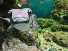 -鹿儿岛水族馆