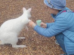 -费瑟代尔野生动物园